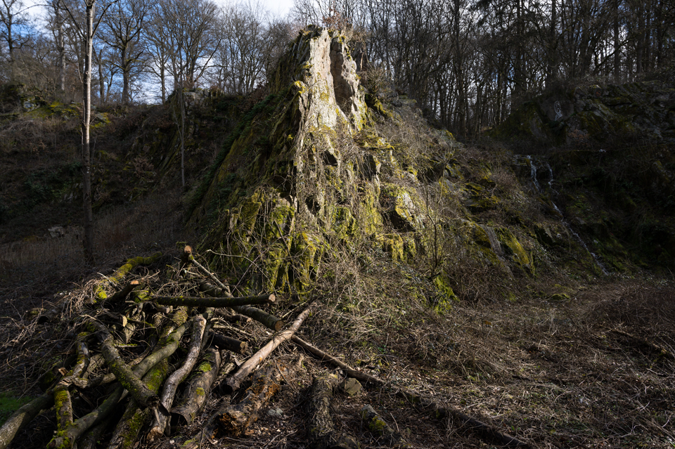 wildnis vor der Haustür